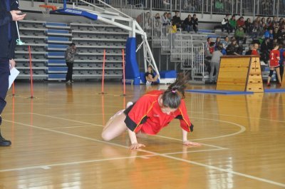 DSC_0223.JPG.jpg.jpg